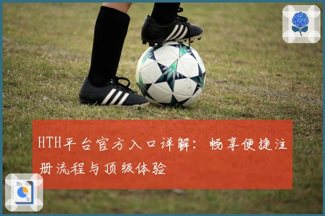 HTH平台官方入口详解：畅享便捷注册流程与顶级体验