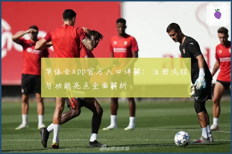 华体会app官方入口详解：注册流程与功能亮点全面解析