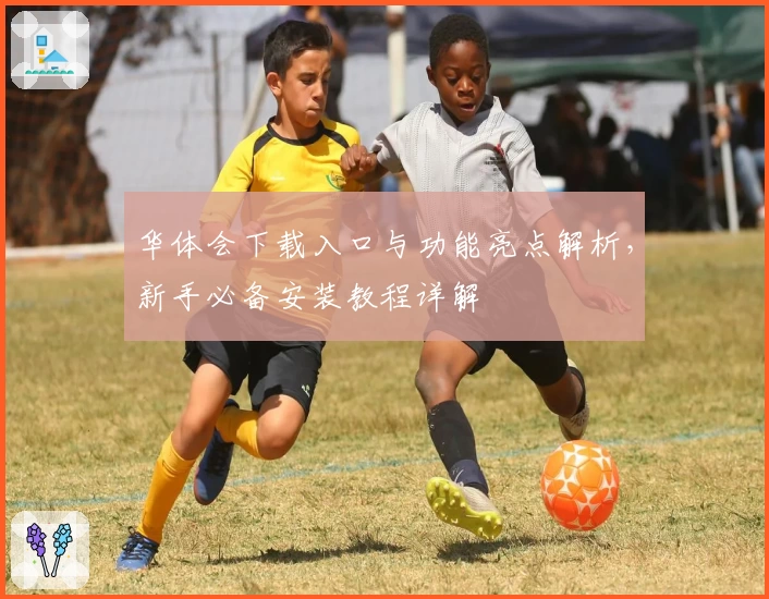 华体会下载入口与功能亮点解析,新手必备安装教程详解
